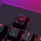 1pc Artisan Metal Keycaps for Mechanical Keyboard H1Z1 / FATE / GOT / Rainbow Six / Overlord